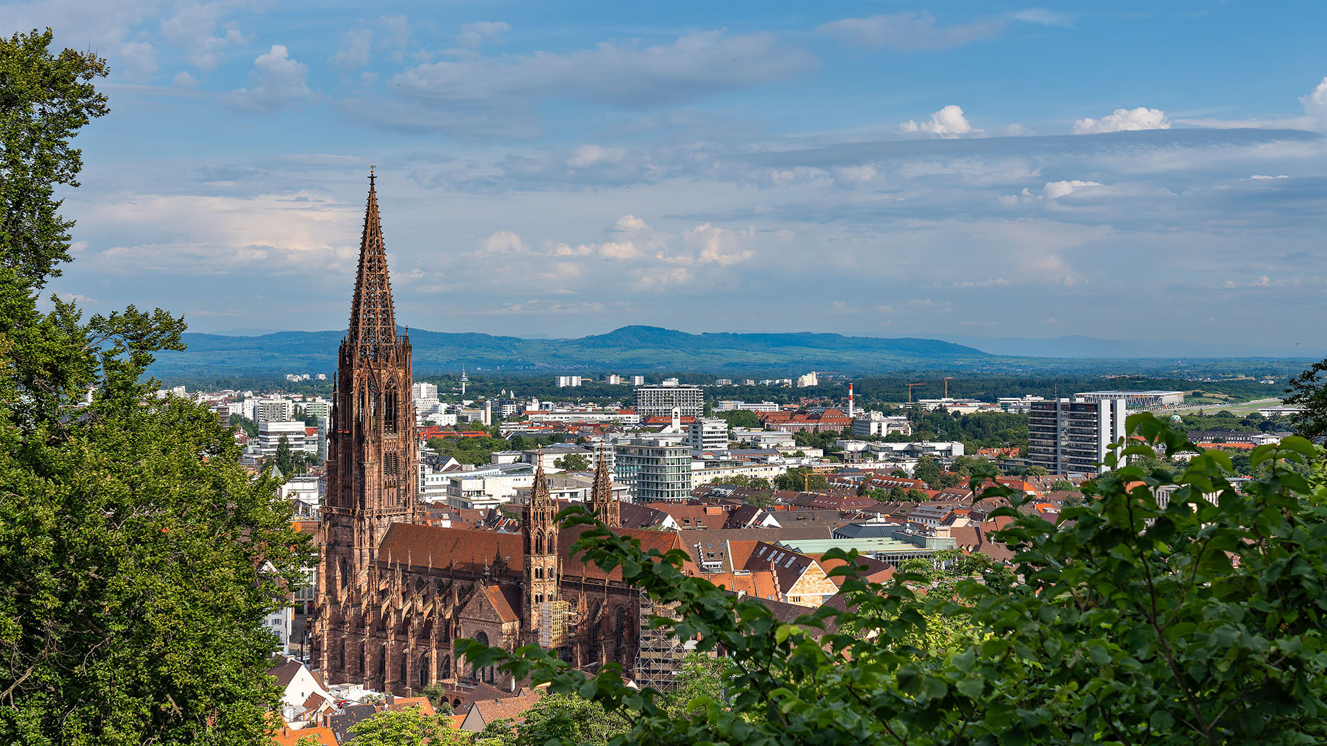 Freiburg (Breisgau)