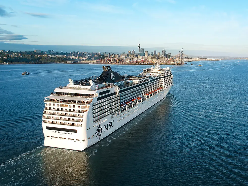 msc magnifica